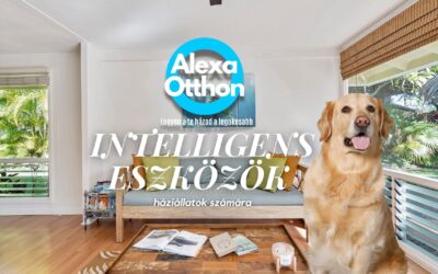 Intelligens eszközök háziállatok számára