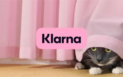 Fizess 3 részletben az alexa otthonnál (klarna)